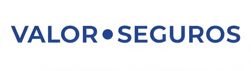 Valor Seguros